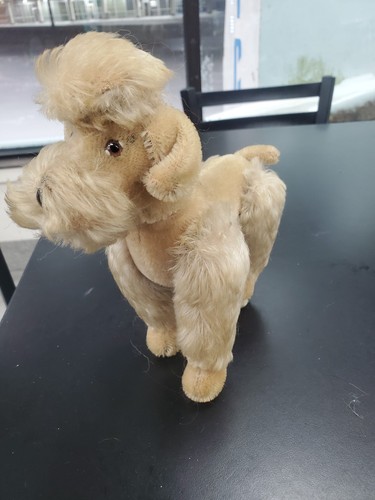 Brown steiff poodle snobby - steiff,